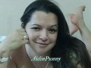 AidinPunny
