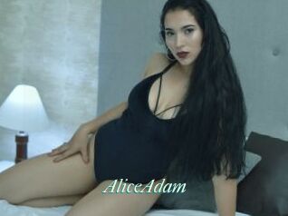 AliceAdam