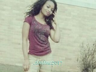 Amina2017