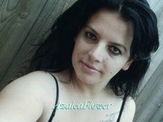 AzaleaFlower