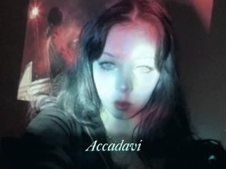 Accadavi