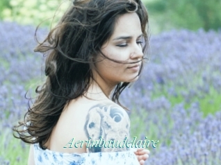 Aerinbaudelaire