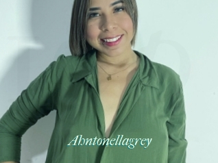 Ahntonellagrey