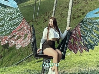 Aidara