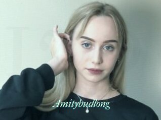 Amitybudlong