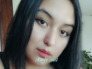 Andy_sout