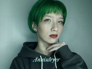 Annisdryer