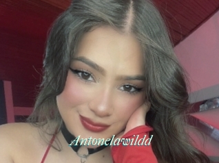 Antonelawildd