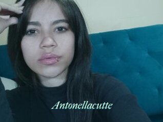 Antonellacutte