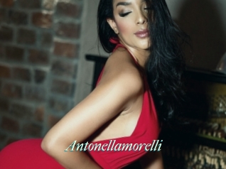 Antonellamorelli