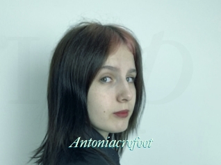 Antoniacrofoot