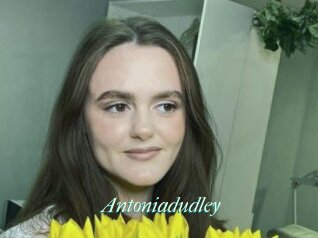Antoniadudley