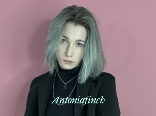 Antoniafinch