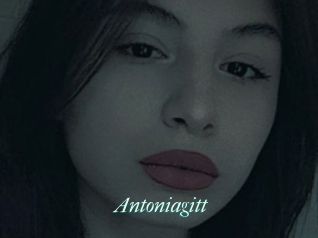 Antoniagitt