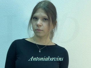 Antoniahavins