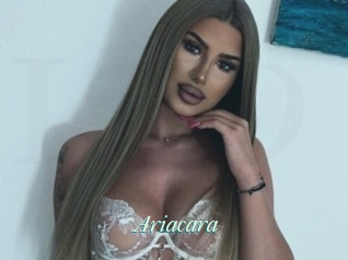 Ariacara