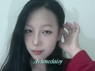 Arlenedaisy