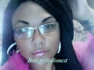 BougieStallionest