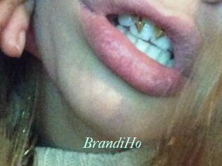 BrandiHo