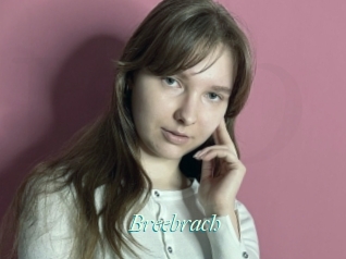 Breebrach