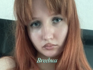 Breebuss