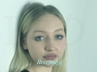 Breefudge