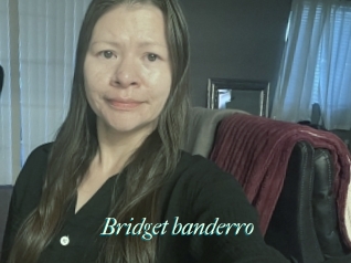 Bridget_banderro