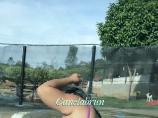 Canelabrun