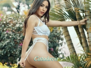 Catadavis