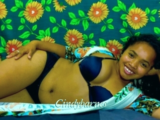 Cindybarnes