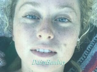 DaisyBombay