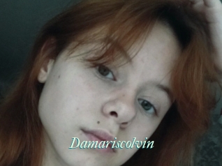 Damariscolvin