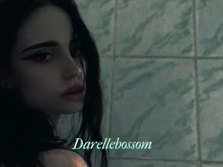 Darellebossom