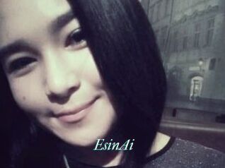 EsinAi