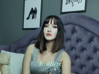 EvaBrix