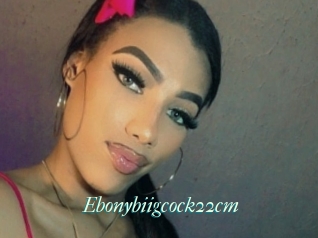 Ebonybiigcock22cm