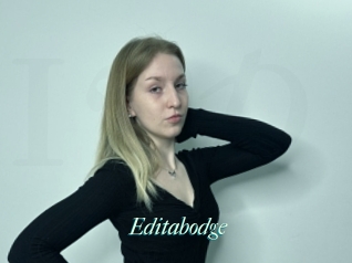 Editabodge