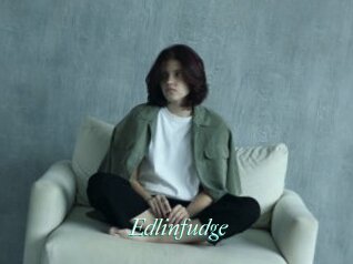 Edlinfudge
