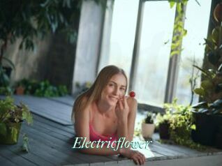 Electricflower