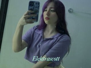 Elektrascott