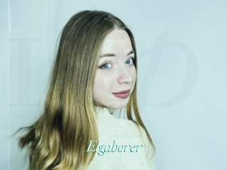 Elgaborer