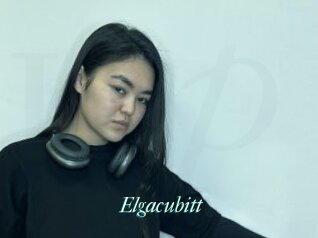 Elgacubitt