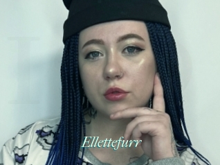 Ellettefurr