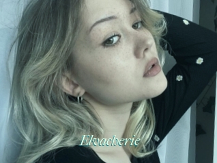 Elvacherie