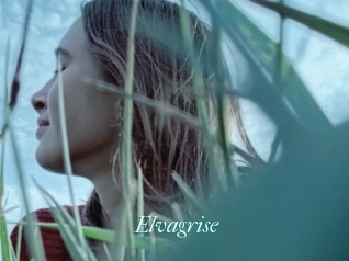 Elvagrise