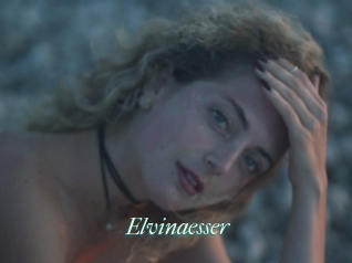 Elvinaesser