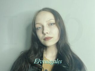 Elvinagales