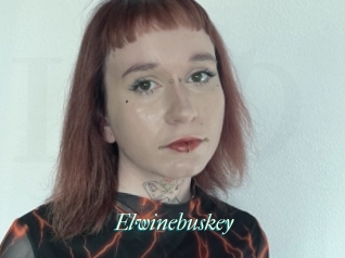 Elwinebuskey