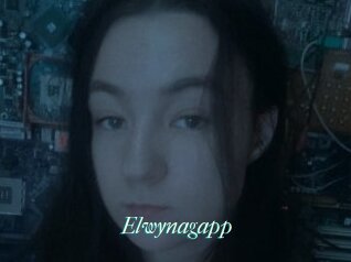 Elwynagapp
