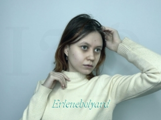 Erlenebolyard